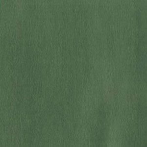 Element Jade 542 by Norbar Fabric 100% POLYURETHANE KOREA 54" - Fabric Carolina -