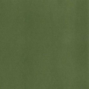 Element Lime 541 by Norbar Fabric