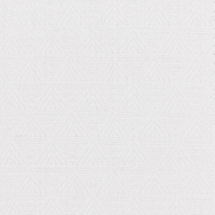 Elkins 5 Snow by Stout Fabric ENDLESS OPPORTUNITY 100%SDA MEXICO Horizontal: 1.000 and Vertical: 1.250 54 in - Fabric Carolina -