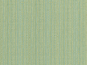 El Paso 24 Seaglass by Covington Fabric