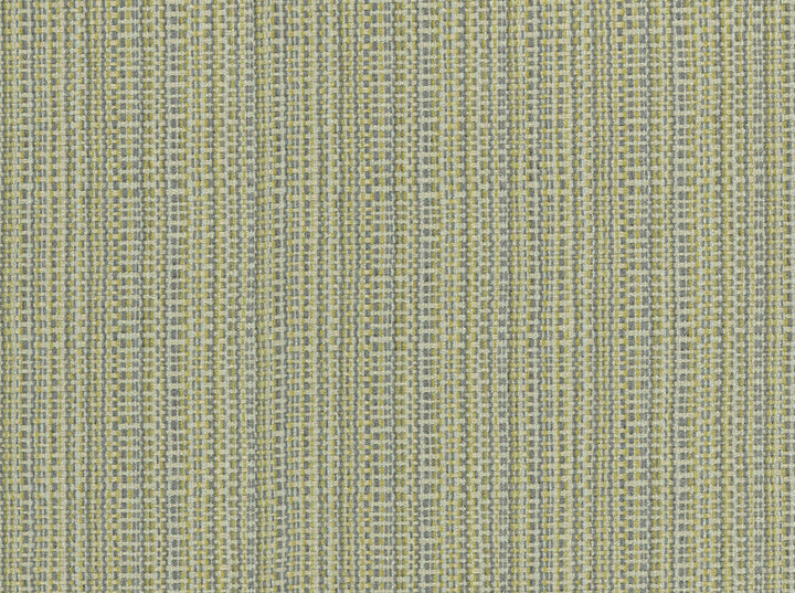 El Paso 89 Sulfur by Covington Fabric 100% POLYESTER China 12000 Horizontal: 0 and Vertical: 0 56 - Fabric Carolina -