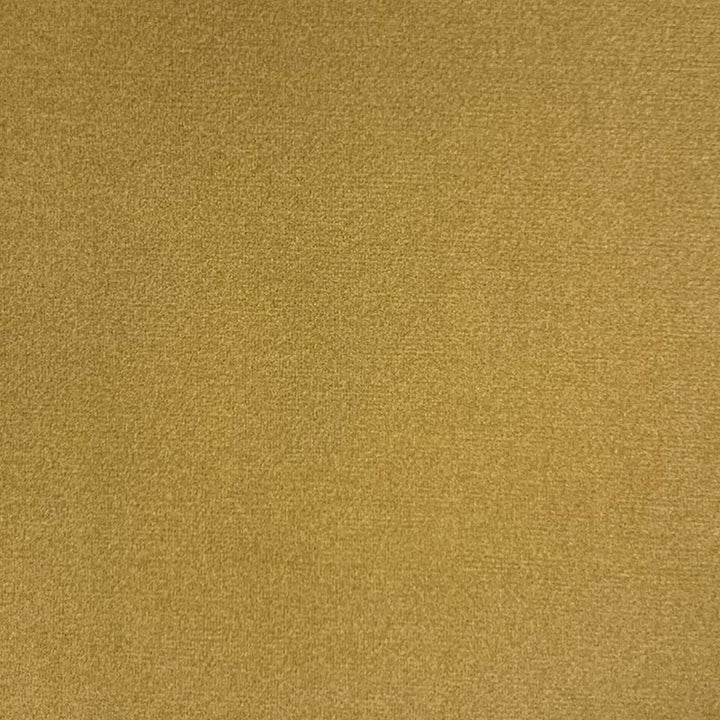 Emi Lion by Magnolia Fabric - 100% Poly China 50000 Horizontal: 0 and Vertical: 0 56" - Fabric Carolina -