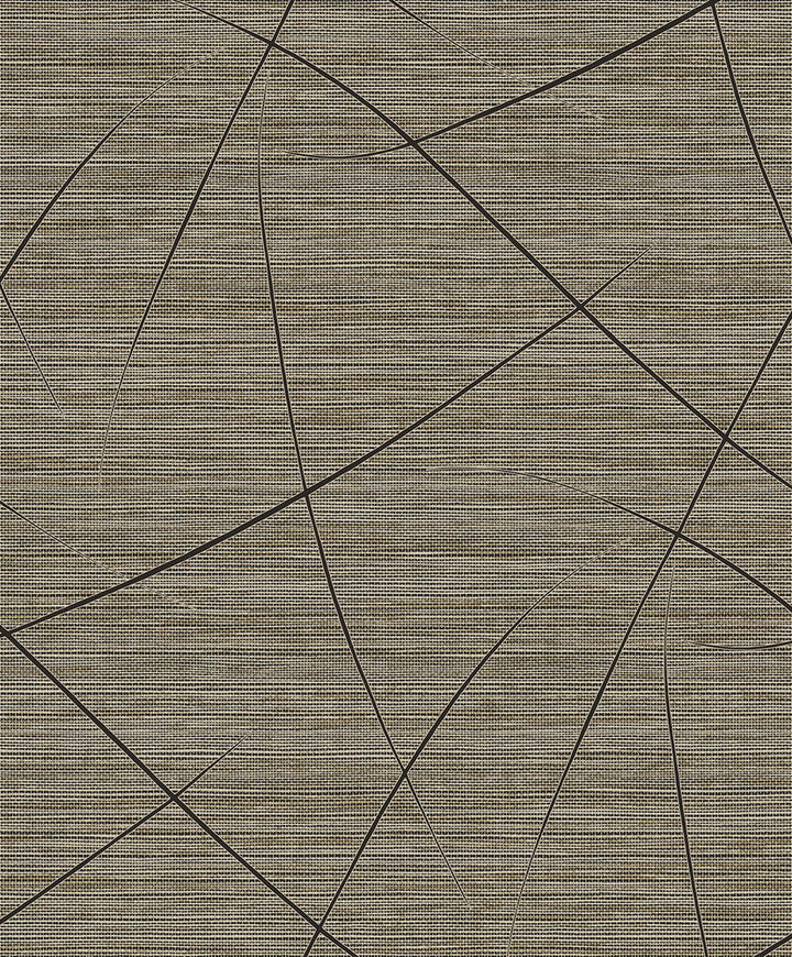 Bract Black Pepper EN40400 by Seabrook Designs Designer Wallpaper