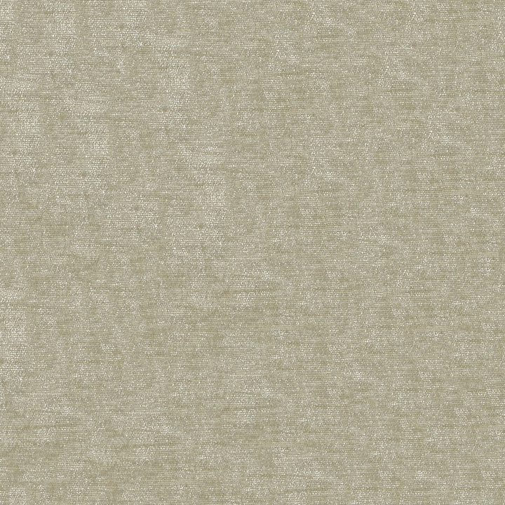 Endurepel Nebo 61 Oyster by Endurepel Fabric 65% Polyester, 35% Viscose China 60,000 Double Rubs (Wyzenbeek) </p><p>Repeat: Horizontal: and Vertical: 56" (142 cm) - Fabric Carolina -