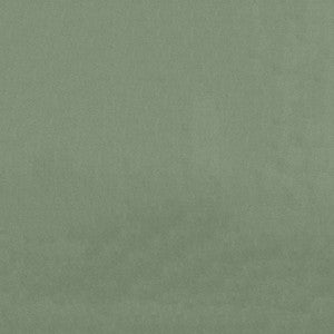 Endurepel Benjamin 202 Sage by Endurepel Fabric