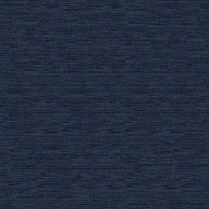Heavenly 309 Naval by Endurepel Fabric N/A 100% Polyester China 125,000 Double Rubs </p><p>Repeat: Horizontal: and Vertical: 55" (140 cm) - Fabric Carolina -