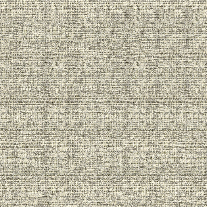 Endurepel Thomas 67 Cosmic Latte by Endurepel Fabric 100% Polyester China 80,000 Double Rubs (Wyzenbeek) </p><p>Repeat: Horizontal: and Vertical: 57" (144 cm) - Fabric Carolina -
