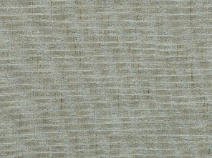 Ennis Linen 196 by Covington Fabric 100% POLYESTER INA 45000 Horizontal: 1 and Vertical: 1 56 - Fabric Carolina -