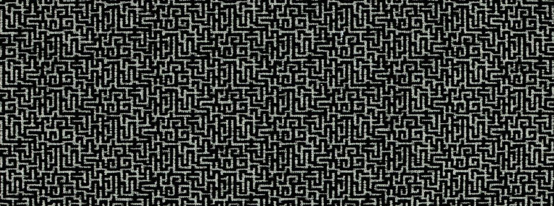 Entangled 916 Ebony/Ivory by Covington Designer Fabric