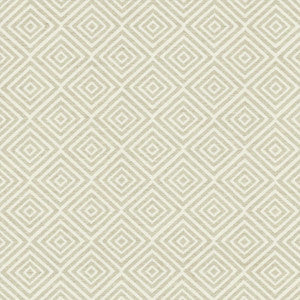 Enterprise 110 Cloud by Kasmir Fabric