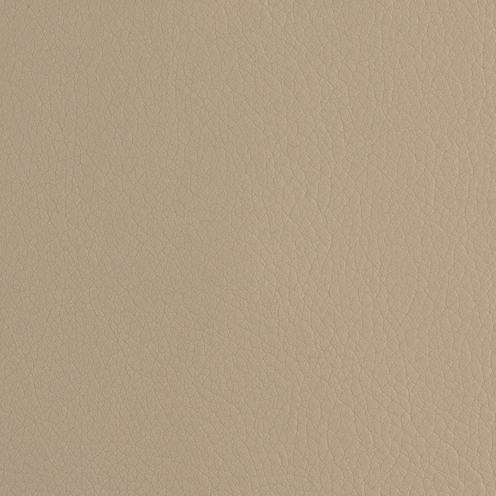 Envision 019 Mushroom by ABBEYSHEA Fabric 100% Sio Silicone China 225,000 Double Rubs (Wyzenbeek) </p><p>Repeat: Horizontal: and Vertical: 54" (137 cm) - Fabric Carolina -