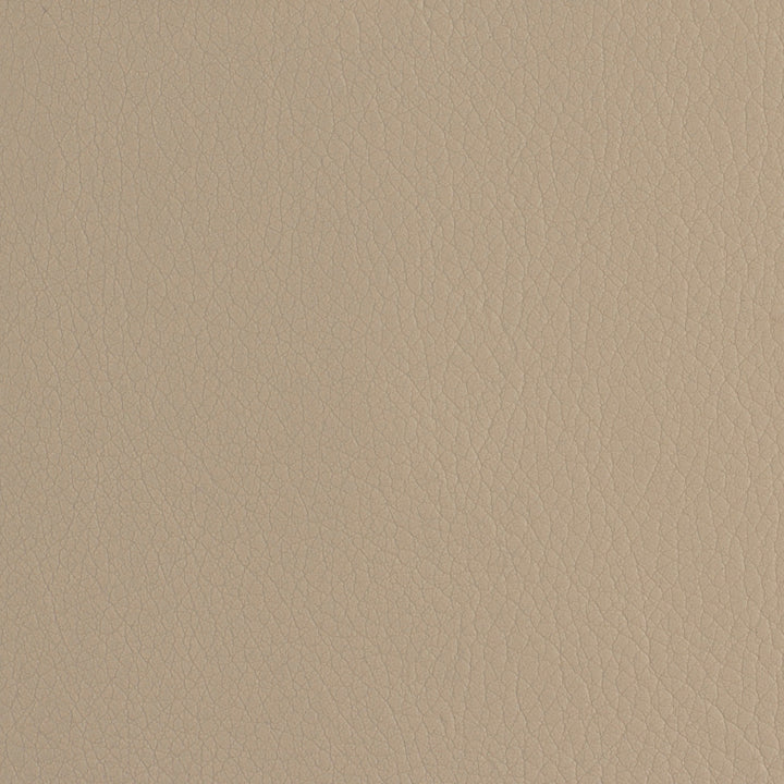 Envision 019 Mushroom by ABBEYSHEA Fabric 100% Sio Silicone China 225,000 Double Rubs (Wyzenbeek) </p><p>Repeat: Horizontal: and Vertical: 54" (137 cm) - Fabric Carolina -