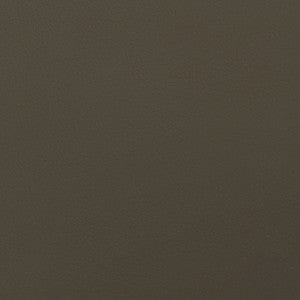 Envision 020 Nutmeg by ABBEYSHEA Fabric