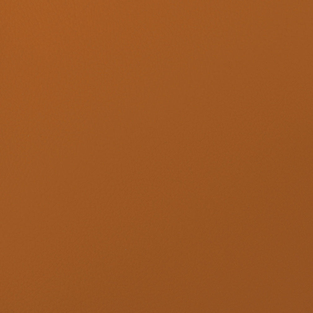 Envision 022 Papaya by ABBEYSHEA Fabric N/A 100% Nylon US </p><p>Repeat: Horizontal: and Vertical: 54" (137 cm) - Fabric Carolina -