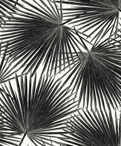 Haven Palm Prepasted Inkwell by Seabrook Wallpaper