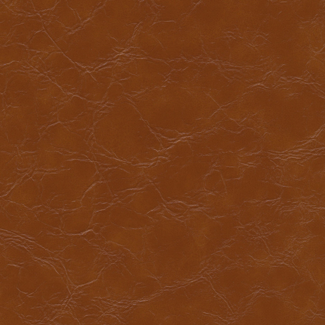 Kravet Design - Equine-6 By Kravet Design Fabric