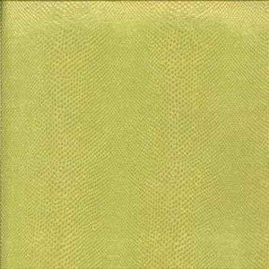 Equinox Celery by Norbar Fabric See Sample 100% POLYURETHANE KOREA 100,000 WYZENBEEK H-3.50" 54" - Fabric Carolina -