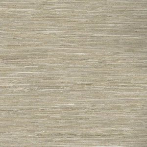 Esquire Desert by Norbar Fabric See Sample 46% POLYESTER 38% RAYON INDIA 30,000 WYZENBEEK 54 - Fabric Carolina -