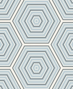 Hex Topography Sky Blue & Argos Grey by Seabrook Wallpaper