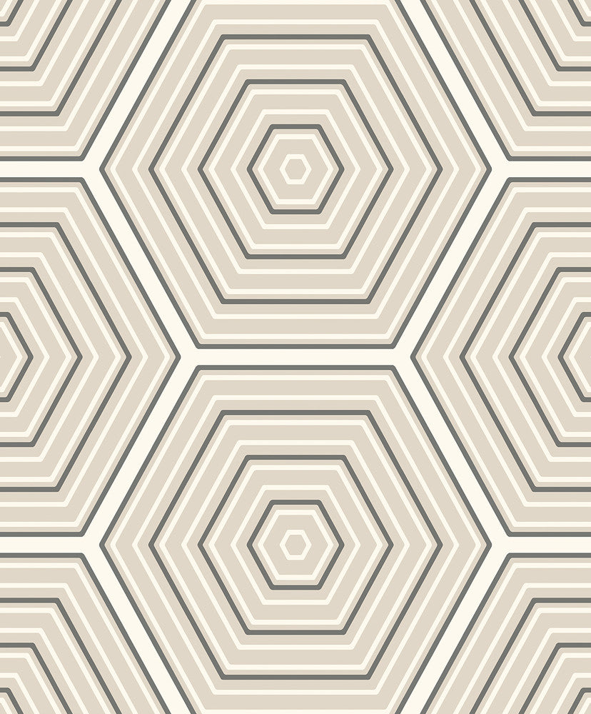 Hex Topography Lunar Rock & Argos Grey by Seabrook Wallpaper Etten Studios Online Netherlands 57.5 12.6" 20.9" - Fabric Carolina -