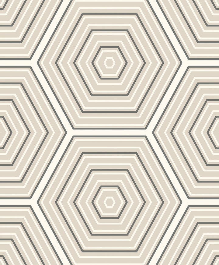 Hex Topography Lunar Rock & Argos Grey by Seabrook Wallpaper Etten Studios Online Netherlands 57.5 12.6" 20.9" - Fabric Carolina -