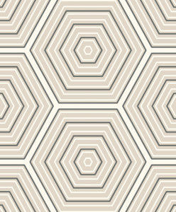 Hex Topography Lunar Rock & Argos Grey by Seabrook Wallpaper