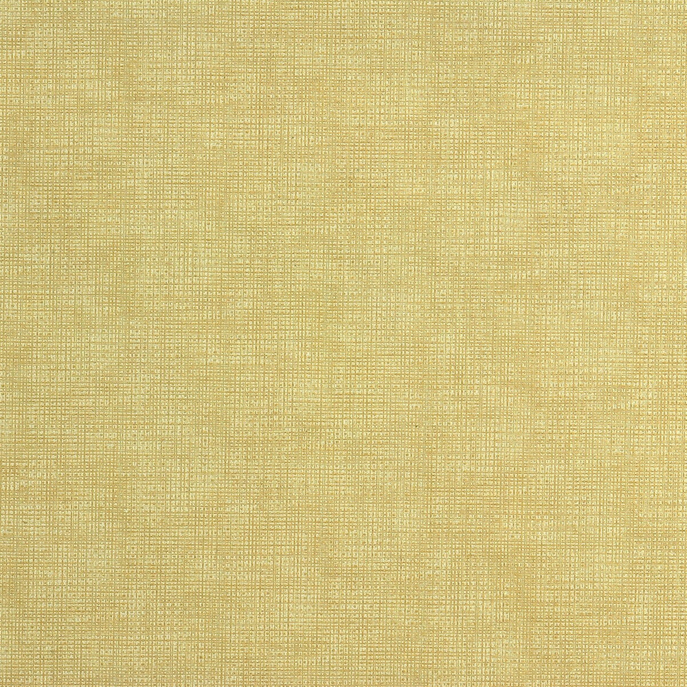 Etching Creme by Kravet Couture Fabric NYLON - 100% United States HEAVY Horizontal: 0 and Vertical: 0 54 - Fabric Carolina -