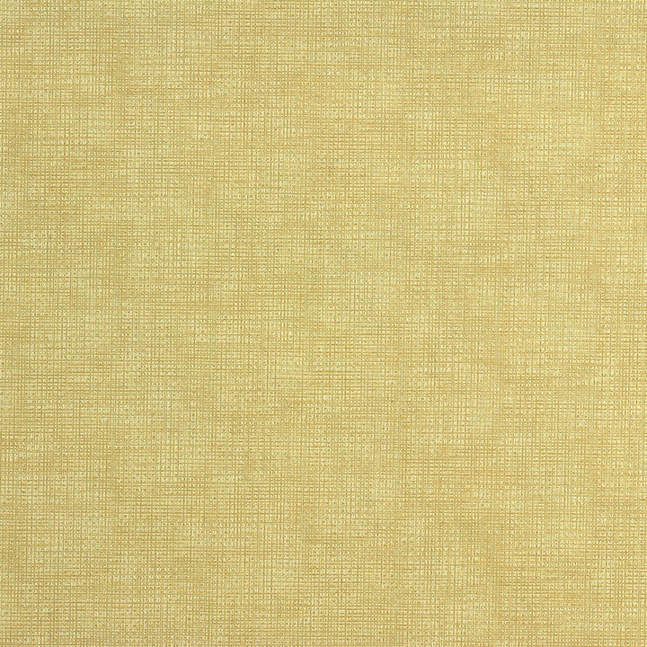 Etching Creme by Kravet Couture Designer Fabric - NYLON - 100% United States HEAVY Horizontal: 0 and Vertical: 0 54 - Swanky Fabrics -