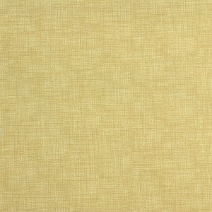 Etching Creme by Kravet Fabric