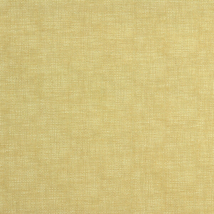 Etching Creme by Kravet Couture Fabric NYLON - 100% United States HEAVY Horizontal: 0 and Vertical: 0 54 - Fabric Carolina -
