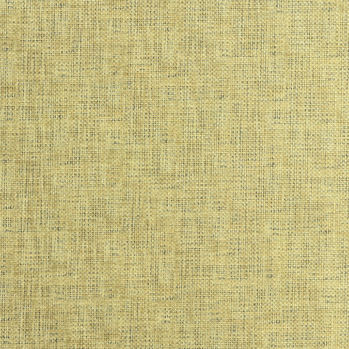 Etching Gold by Kravet Couture Fabric NYLON - 100% United States HEAVY Horizontal: 0 and Vertical: 0 54 - Fabric Carolina -