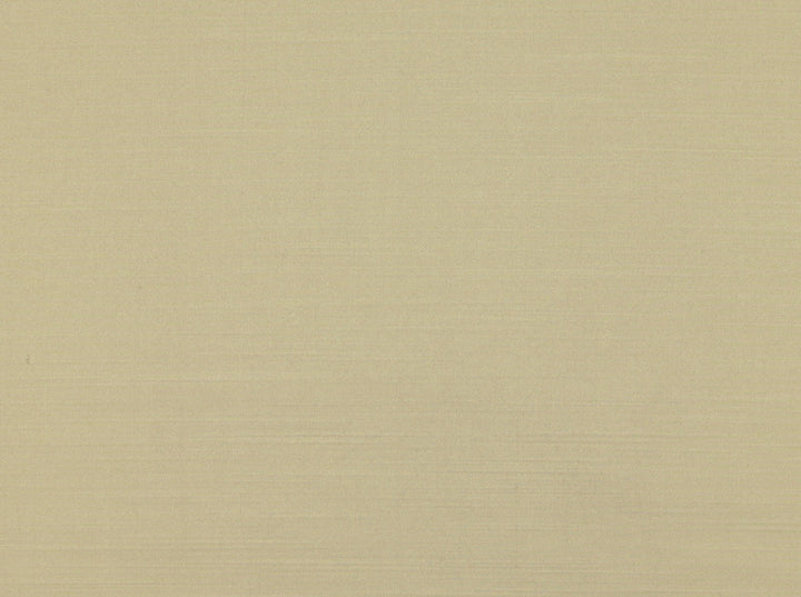 Eternity 196 Linen by Covington Fabric 100% POLYESTER India 45000 Horizontal: 0 and Vertical: 0 56 - Fabric Carolina -