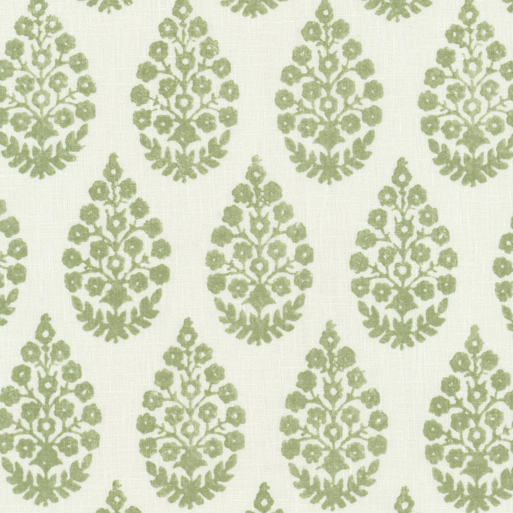 Euclid 1 Sage by Stout Fabric RAINBOW LIBRARY SAGE/CYPRESS 68%POL 32%COT INDIA Horizontal: 3.375 and Vertical: 3.875 54 in - Fabric Carolina -
