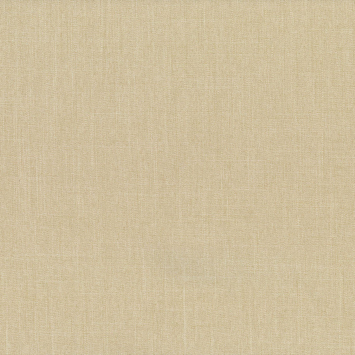 Euphoria 605 Canvas by Abbeyshea Fabric Euphoria 100% Polyester - </p><p>Repeat: Horizontal: - and Vertical: - 55 in. (140 cm) - Fabric Carolina -