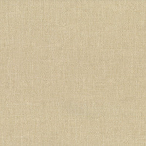 Euphoria 605 Canvas by Abbeyshea Fabric