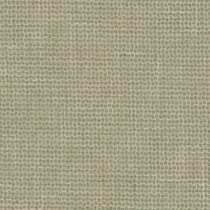 Eureka 3 Pistachio by Stout Fabric RAINBOW LIBRARY SAGE/CYPRESS 100%POL INDIA PERFORMANCE RATED FABRIC FLAME RETARDANT-U.F.A.C. CLASS 1 FLAME RETARDANT-N.F.P.A. 260A CLASS 1 CATB 117-2013 WYZENBEEK 100 000 DOUBLE RUB WEAR TEST (HEAVY DUTY) Horizontal: 0.500 and Vertical: 0.500 54 in - Fabric Carolina -