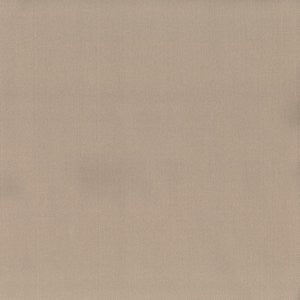 Europa Bamboo by Norbar Fabric EUROPA 60% COTTON 40% POLYESTER INDIA 33,000 WYZENBEEK 54 - Fabric Carolina -