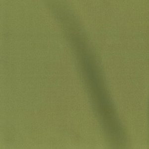 Europa Chive by Norbar Fabric EUROPA 60% COTTON 40% POLYESTER INDIA 33,000 WYZENBEEK 54 - Fabric Carolina -