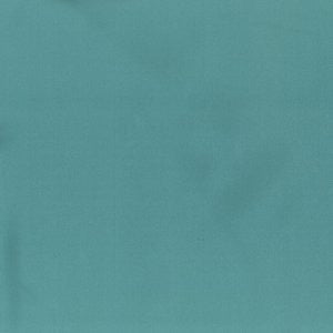 Europa Pool by Norbar Fabric EUROPA 60% COTTON 40% POLYESTER INDIA 33,000 WYZENBEEK 54 - Fabric Carolina -