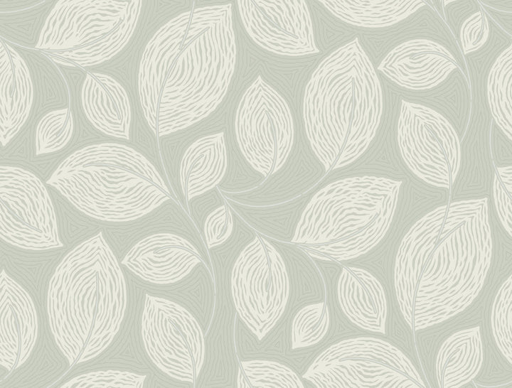 Contoured Leaves Green Wallpaper by Candice Olson Candice Olson Casual Elegance Covers about 60.8 square feet 27-in by 27-ft long roll Unpasted 25.25 - Fabric Carolina -