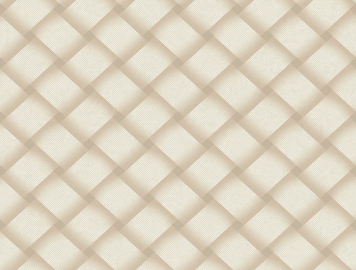 Bayside Basket Weave Blonde Wallpaper by Candice Olson Candice Olson Casual Elegance Covers about 60.8 square feet 27-in by 27-ft long roll Unpasted 20.5 - Fabric Carolina -