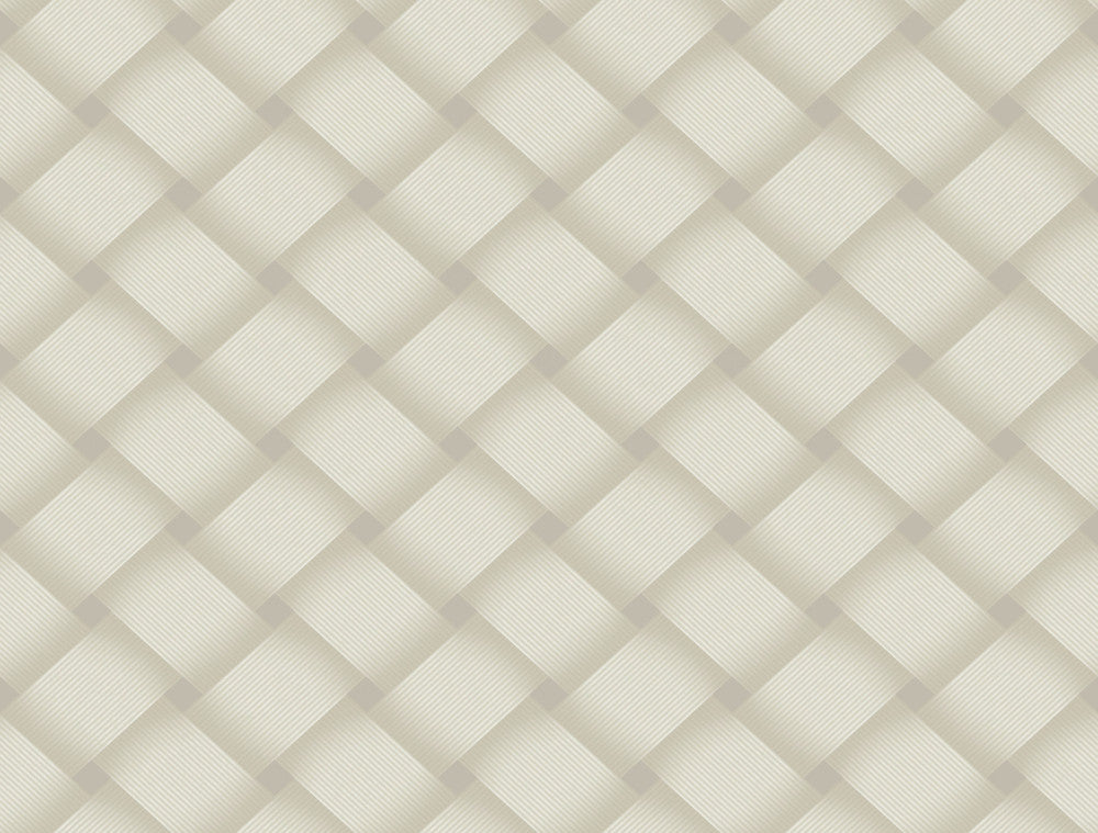 Bayside Basket Weave Neutral Wallpaper by Candice Olson Candice Olson Casual Elegance Covers about 60.8 square feet 27-in by 27-ft long roll Unpasted 20.5 - Fabric Carolina -