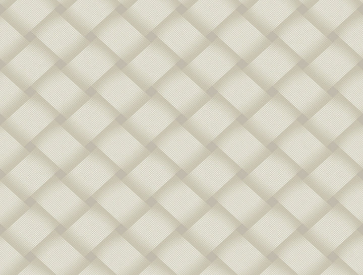 Bayside Basket Weave Neutral Wallpaper by Candice Olson Candice Olson Casual Elegance Covers about 60.8 square feet 27-in by 27-ft long roll Unpasted 20.5 - Fabric Carolina -