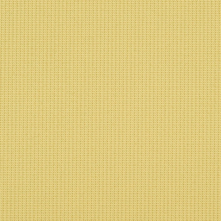 Eva 13J7031 by JF Crypton Fabric Crypton Binder 100% Polyester United States 50000 Horizontal: and Vertical: 54 - Fabric Carolina -