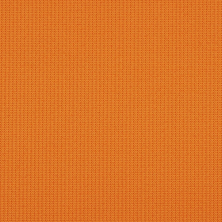 Eva 25J7031 by JF Crypton Fabric Crypton Binder 100% Polyester United States 50000 Horizontal: and Vertical: 54 - Fabric Carolina -