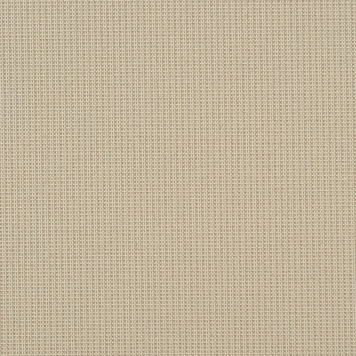Eva 34J7031 by JF Crypton Fabric Crypton Binder 100% Polyester United States 50000 Horizontal: and Vertical: 54 - Fabric Carolina -