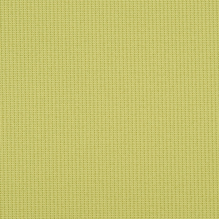 Eva 72J7031 by JF Crypton Fabric Crypton Binder 100% Polyester United States 50000 Horizontal: and Vertical: 54 - Fabric Carolina -