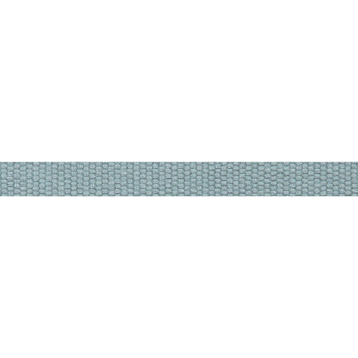 Everly Micro Tape Dark Green by Magnolia Trim - 63LINEN/37RAYON CHINA Horizontal: and Vertical: 0.56 - Fabric Carolina -