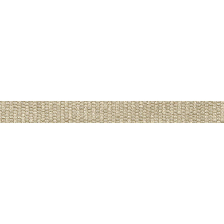 Everly Micro Tape Quartz by Magnolia Trim - 63LINEN/37RAYON CHINA Horizontal: and Vertical: 0.56 - Fabric Carolina -