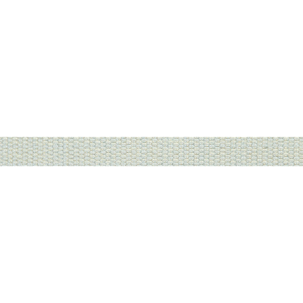 Everly Micro Tape Spa by Magnolia Trim - 63LINEN/37RAYON CHINA Horizontal: and Vertical: 0.56 - Fabric Carolina -